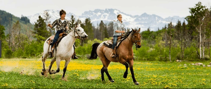 Confident plus-size woman riding Henley-on-Thames a horse through a field with a smile on her face.